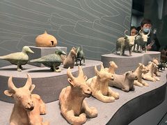 -广西壮族自治区博物馆