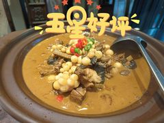 鸽子烧乌龟-茶叁酒肆·楚味江湖(菱角湖店)