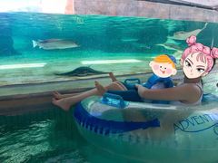 -新加坡水上探险乐园