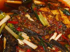 -院8里·小聚园老川菜(九眼桥店)