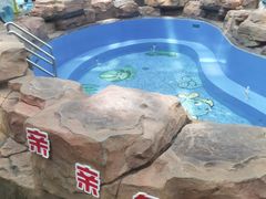 -无锡融创水世界