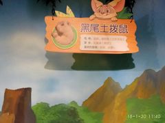 -萌宠奇缘