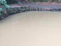 -韶山毛泽东同志故居