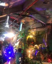 -恐龙探索乐园(磁器口店)