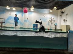 -嘉兴海底世界