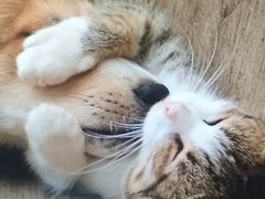 -学习谷日语培训日本留学·多语种外语教学(海淀人大分部)