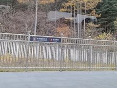 -横道河子东北虎林园
