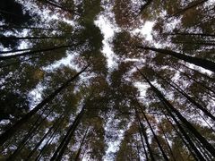 -山王坪喀斯特国家生态公园