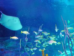 -沈阳海洋探索中心