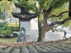 -江心屿景区