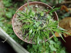 -国生茶庄·地道农家菜团建活动