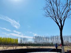 -东郊湿地公园