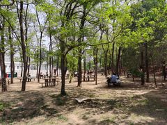 -北京西山国家森林公园