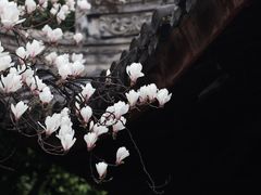 -龙华寺