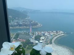 -大连君悦酒店·星海湾壹号Dalian·Dalian(星海广场店)