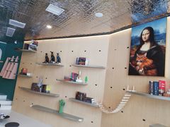 -飞行喵MR PILOT|猫舍·猫咖(静安大融城店)