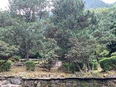 -苍山感通索道