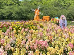 -苏州上方山国家森林公园