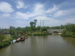 -上海长兴岛郊野公园