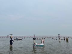 -碧海金沙