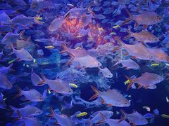 -成都浩海立方海洋公园