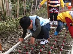 -紫薇实验幼儿园(桂平路校区)