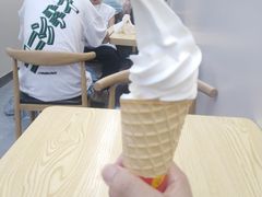 -蜜雪冰城(万象新城商业街店)