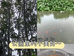 -仁和公园(顺义区)