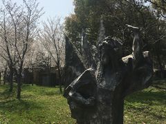 -苏州太湖湖滨国家湿地公园