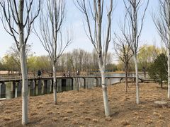 -东郊湿地公园