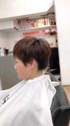 -YESIDO椰岛造型