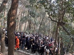 -灵顺寺