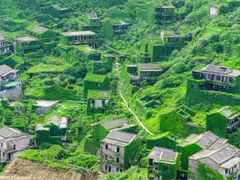 -枸杞岛