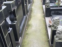 -上海浦东新区乐乡公墓