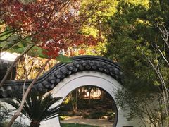 -汇龙潭