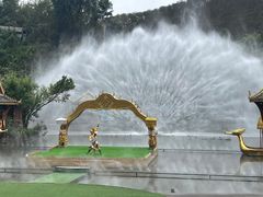 -西双版纳原始森林公园