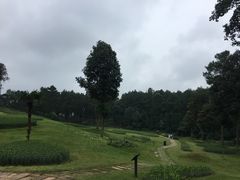 -保利石象湖景区