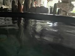 -万象温泉景区