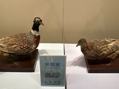 -旅顺博物馆