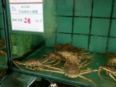-海岛渔村大酒店(云霄路店)