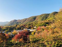 -塔川景区