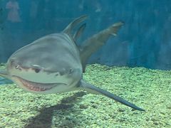 -华夏文旅海洋公园