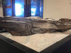 -VESH COFFEE(定西路店)