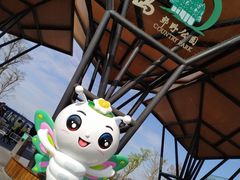 -上海长兴岛郊野公园