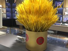 -宏宇眼镜蔡司依视路折扣店(兆佳眼镜城店)