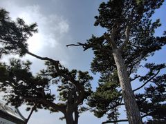 -妙峰山风景名胜区