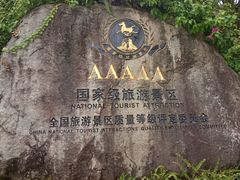-呀诺达热带雨林