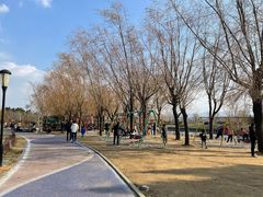 -羊亭河湿地公园