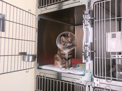 -萌兽医馆·眼科·异宠专科(三里屯店)