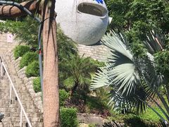 -100蛋泥浆浴
